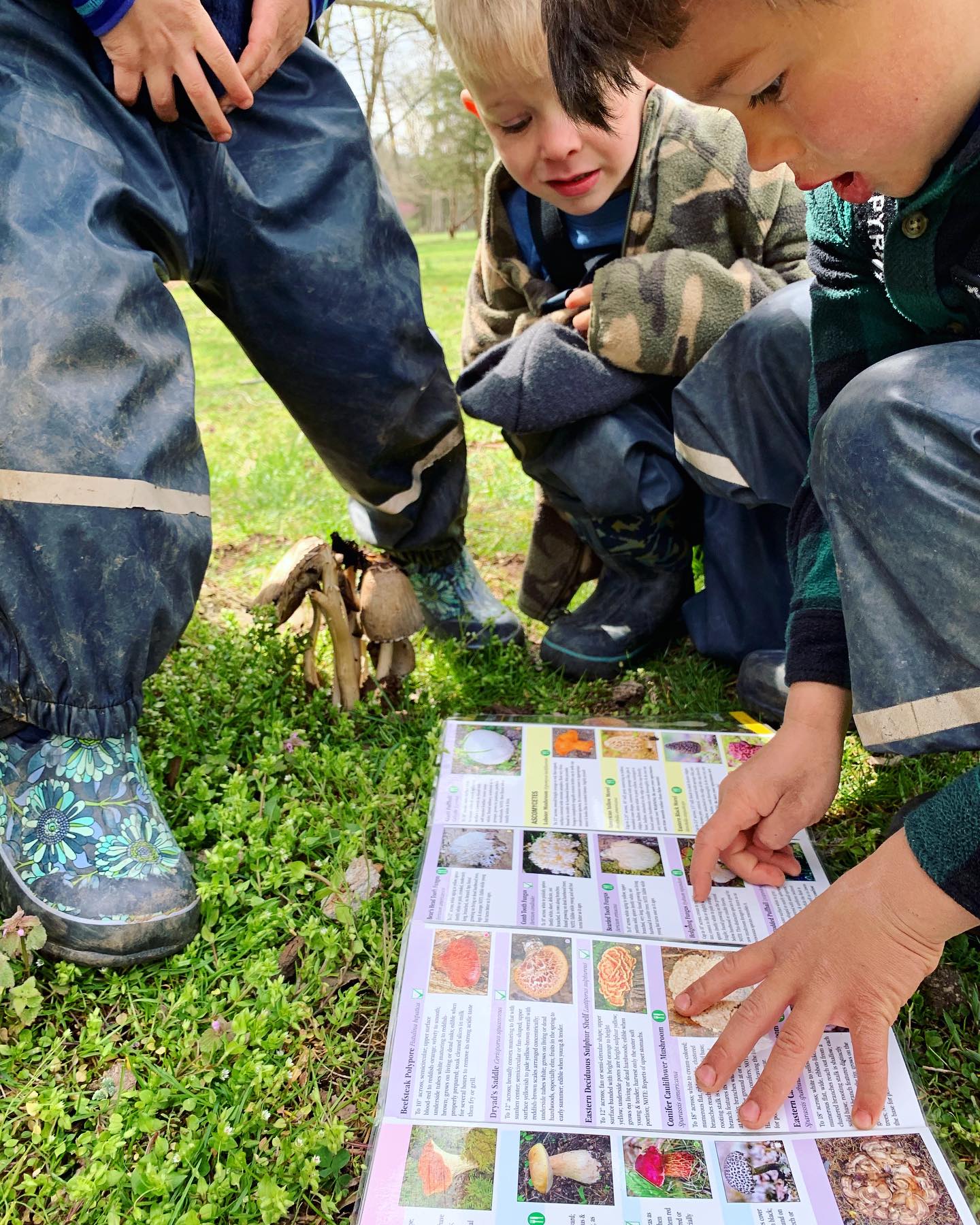 children looking at field guide